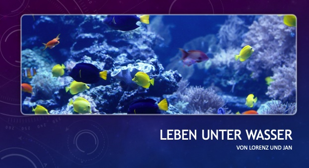 Leben unter Wasser